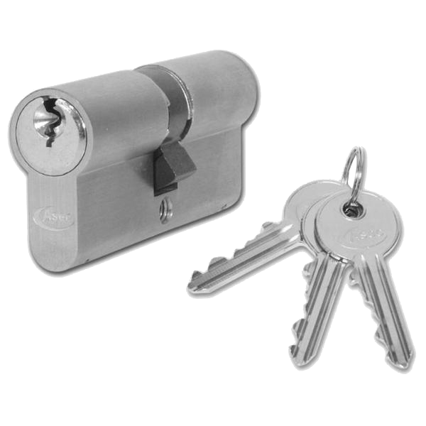 ASEC 6-Pin Euro Double Cylinder - 1 Bitted